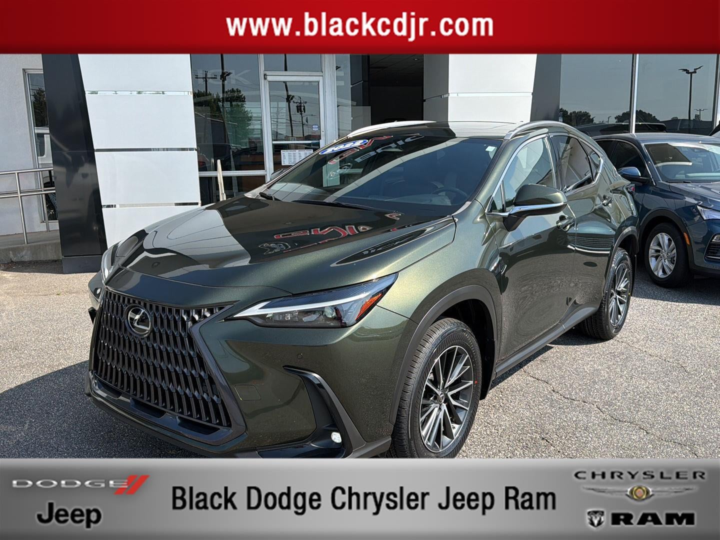 2022 Lexus NX Premium in Nori Green Pearl — front three-quarter view